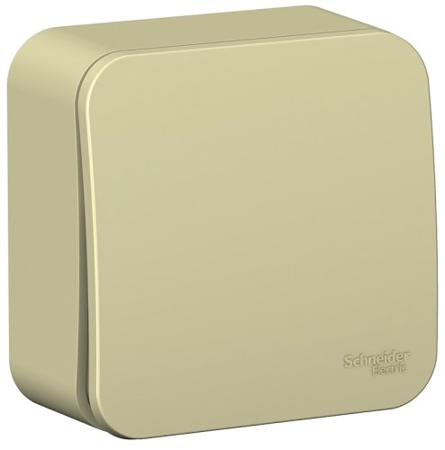 Переключатель накладной Systeme Electric Blanca 1-кл. проходной бежевый картинка